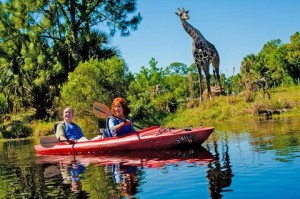 kayaking