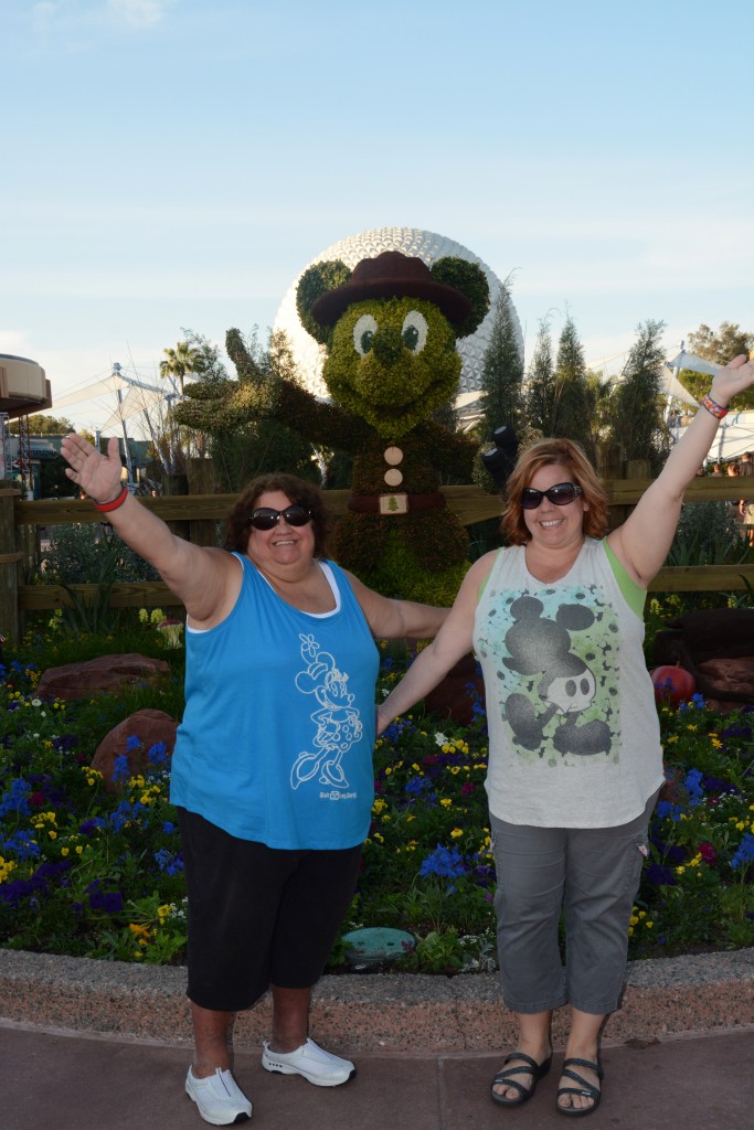 wdw2016062414349092_7619857088_dsnyRes-base_dsnyLoc-tmp