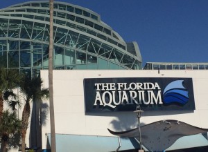 the florida aquarium