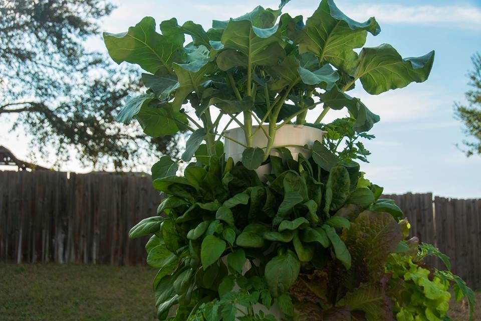 www.shawnamartell.towergarden.com