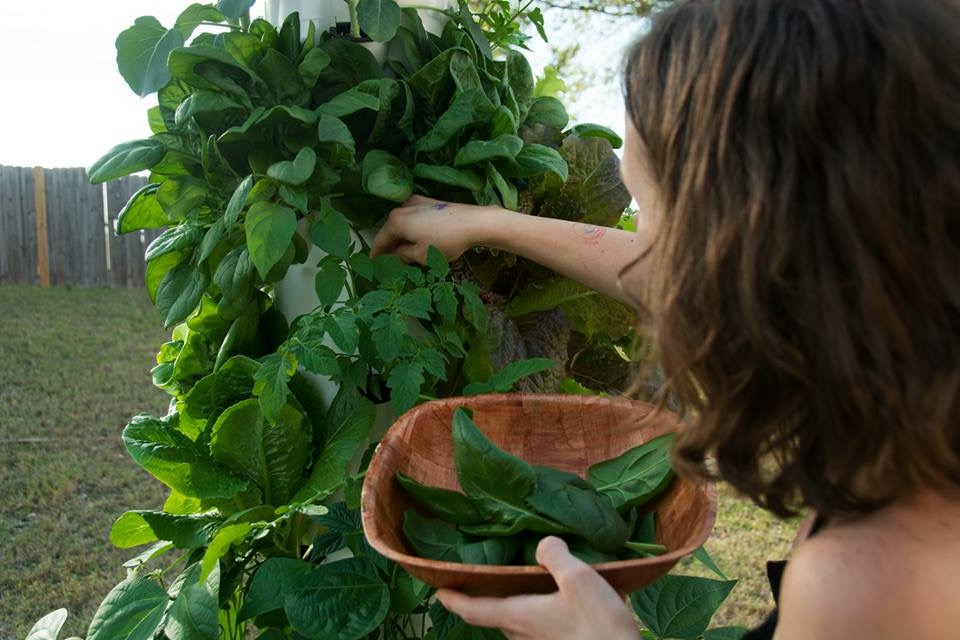 www.shawnamartell.towergarden.com