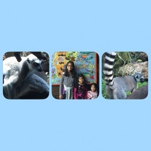 the florida aquarium