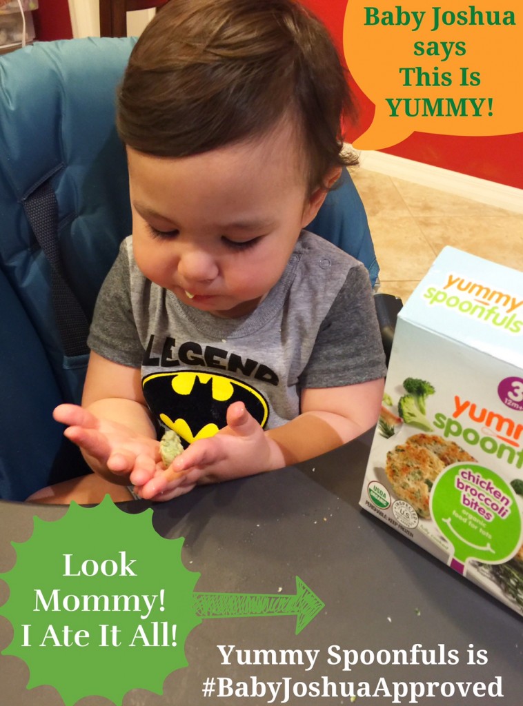 Yummy Spoonfuls is #BabyJoshuaApproved