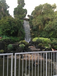 Cypress Gardens