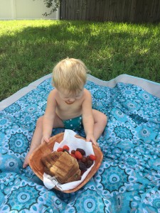 organic picnic foods and baby