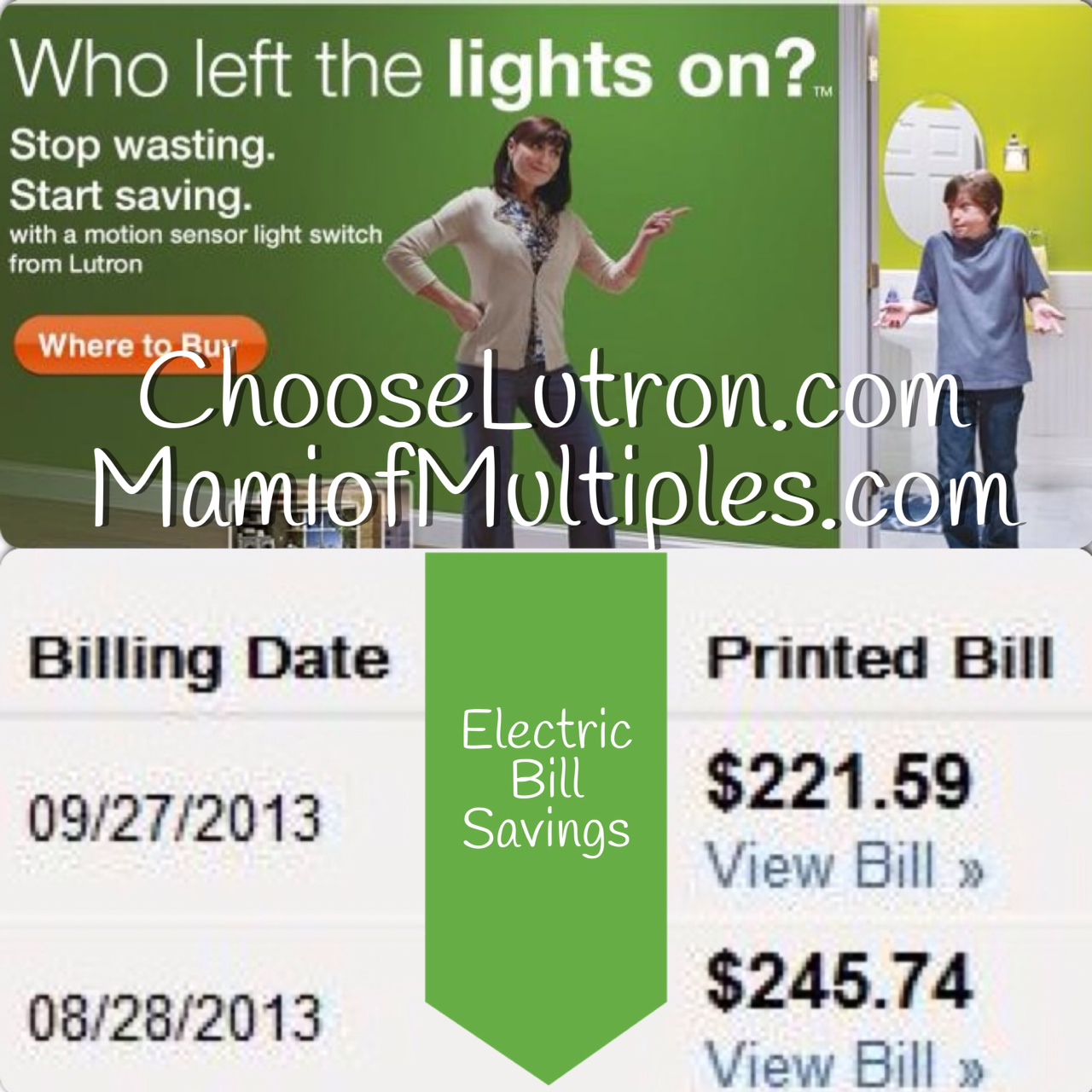 Save Time and Money with Lutron Electronics