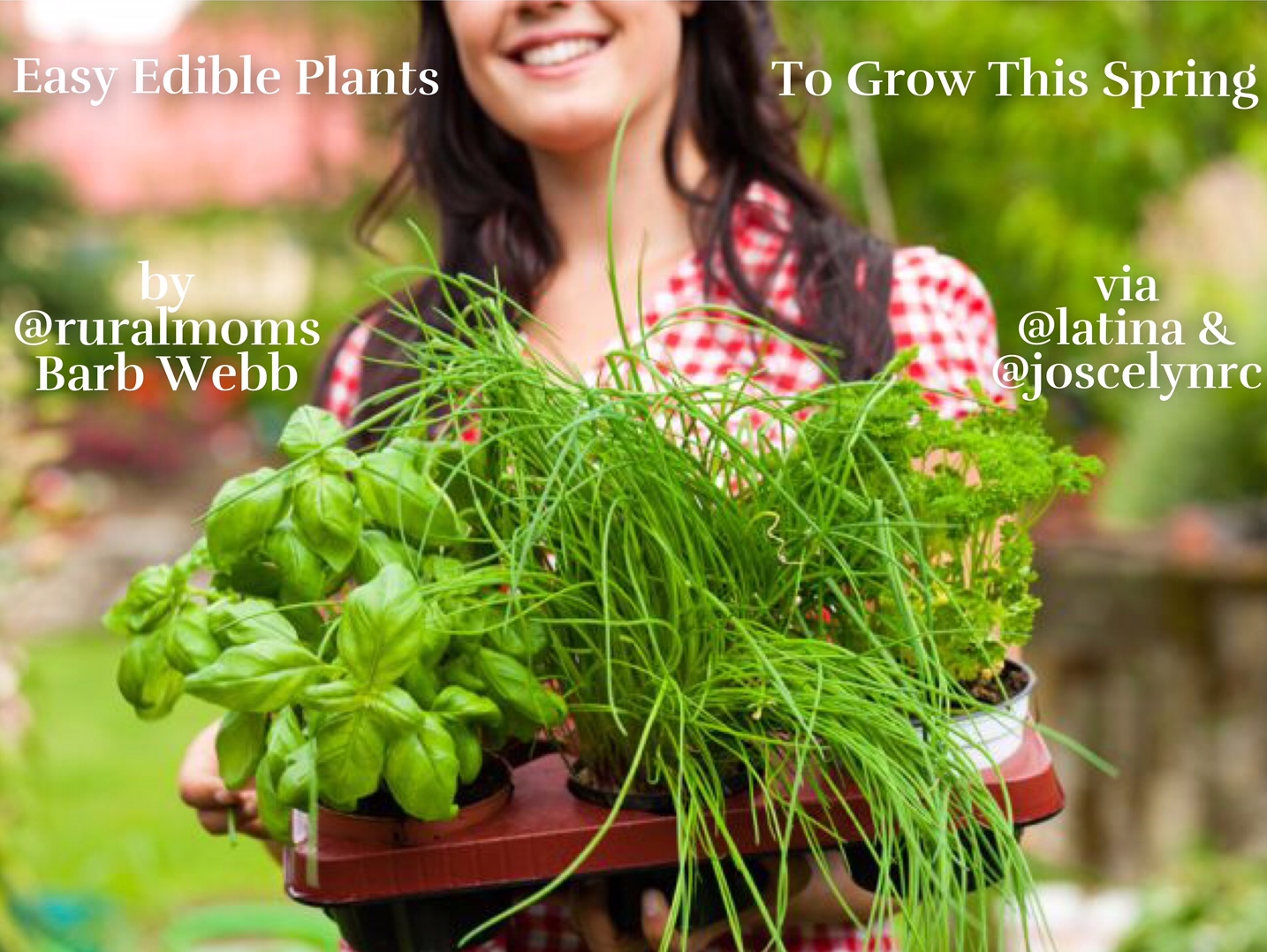 Easy Edible Plants to Grow This Spring (No Green Thumb Required!) by Barb Webb