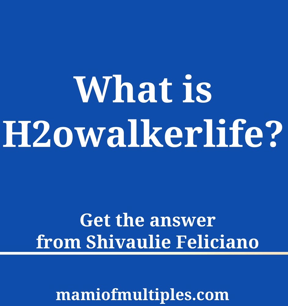 What is H2owalkerlife?