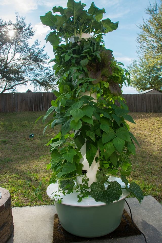 Beyond Organic Gardening with the Tower Garden System