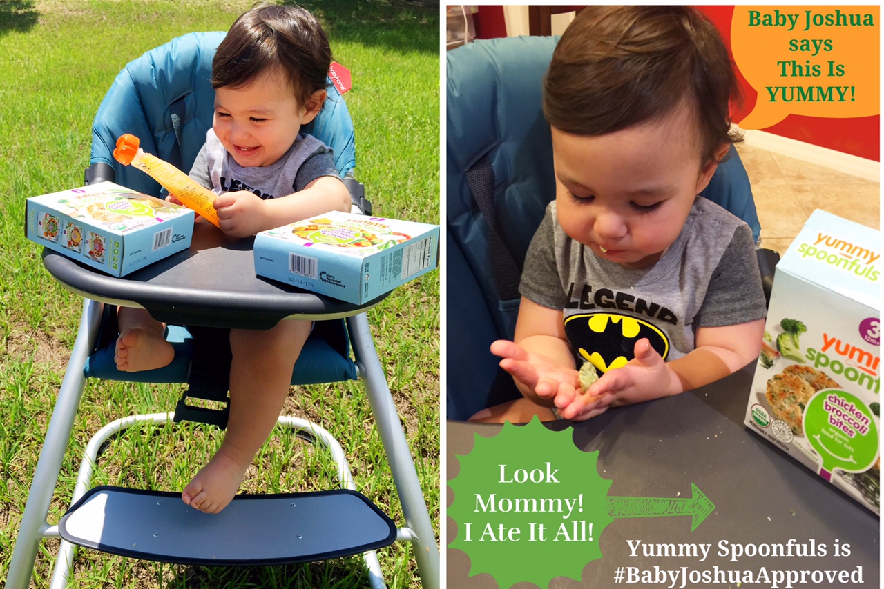 Experience the Real Taste of Homemade with Yummy Spoonfuls Frozen Baby Food
